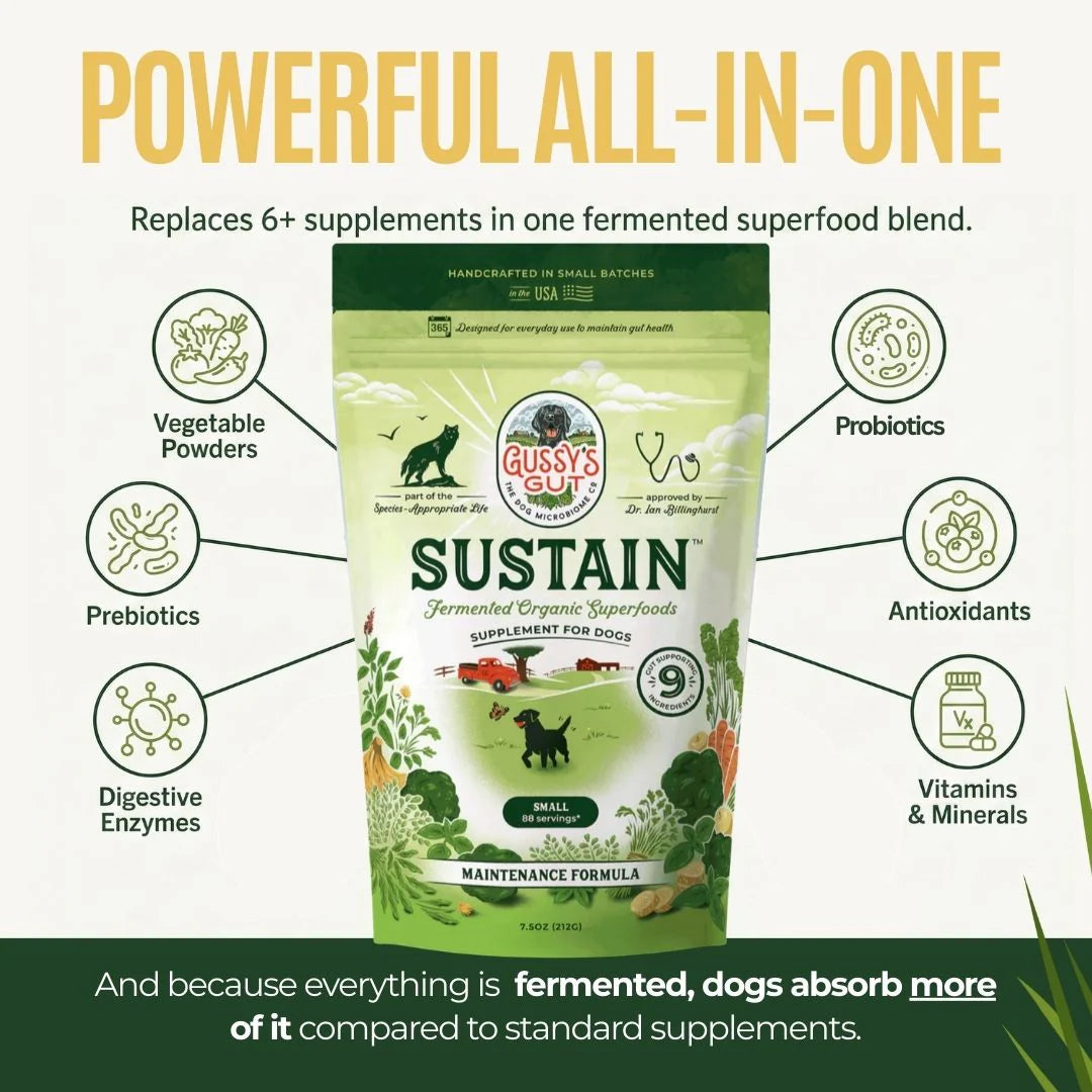 Gussy’s Gut Sustain – 7.5oz image 0