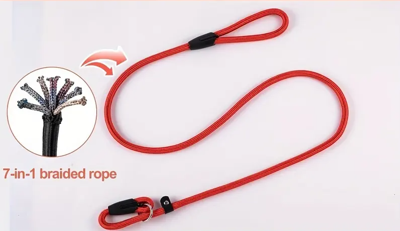 Cesar Dog Leash - Long
