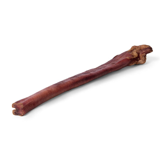 Mika & Sammy's 12" Pumpkin Bully Stick