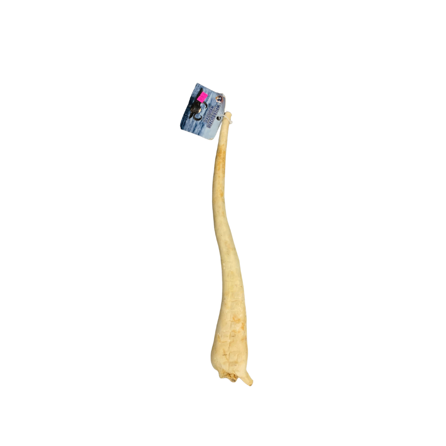 QT Dog Water Buffalo Whole Tail 15-18"