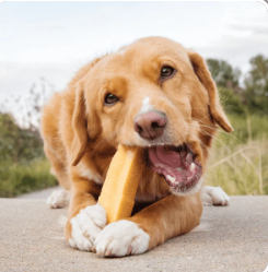 PeakNPaws Original Yak Chew