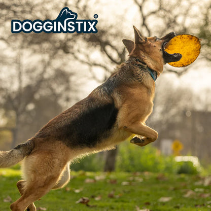 DogginStix UFO Beef Collagen Disc