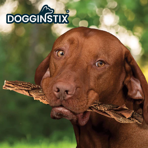 DogginStix Braided Beef Tripe