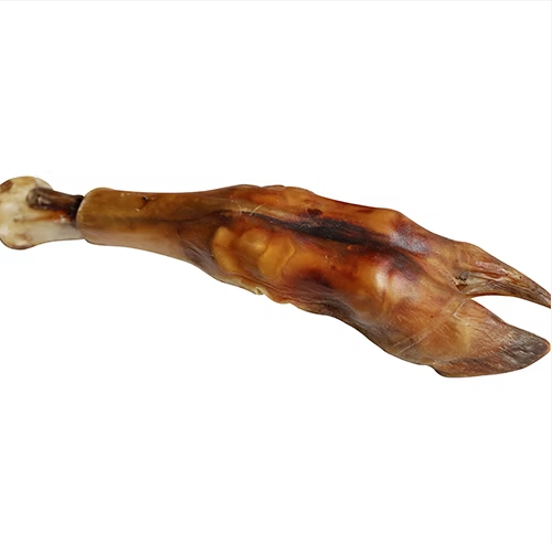 QT Dog Water Buffalo Trotter