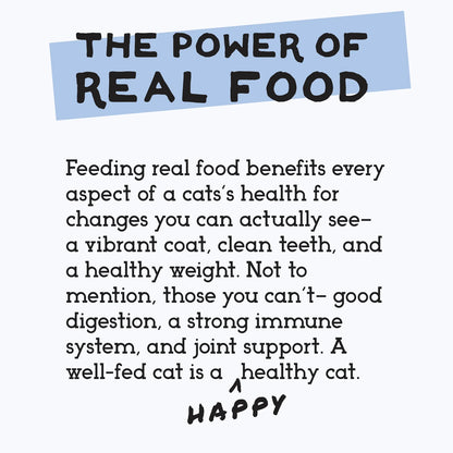 The Simple Food Project Cat Recipes 24oz