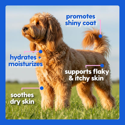 Taily Collagen for Dogs & Cats