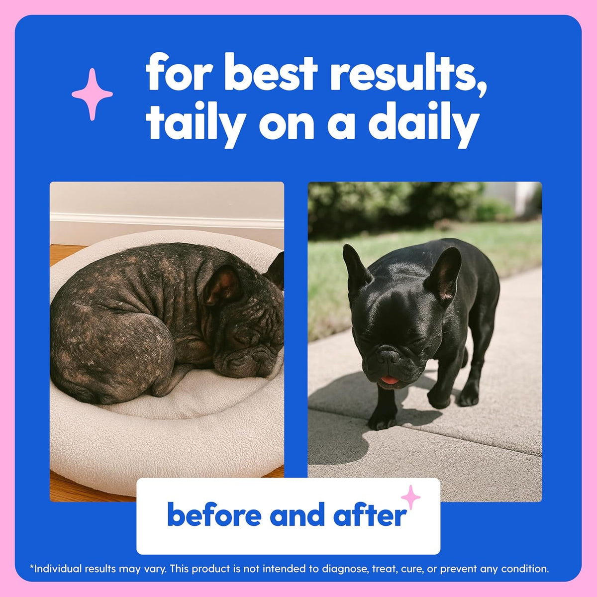 Taily Collagen for Dogs & Cats