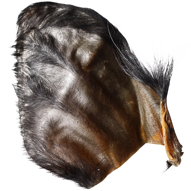 QT Dog Water Buffalo Ear with Hair