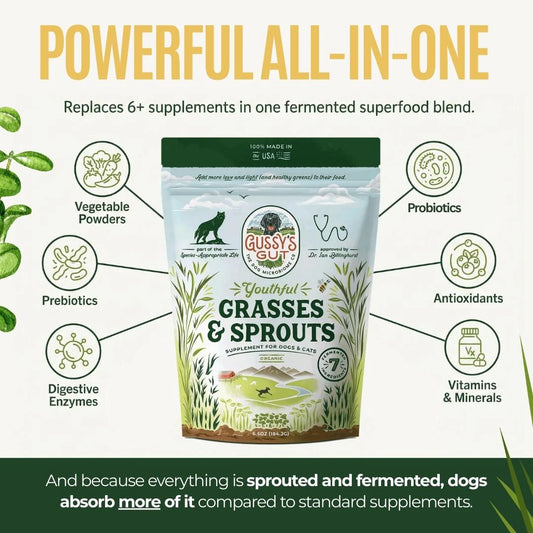 Gussy's Gut Youthful Grasses & Sprouts - 6.5oz image 0
