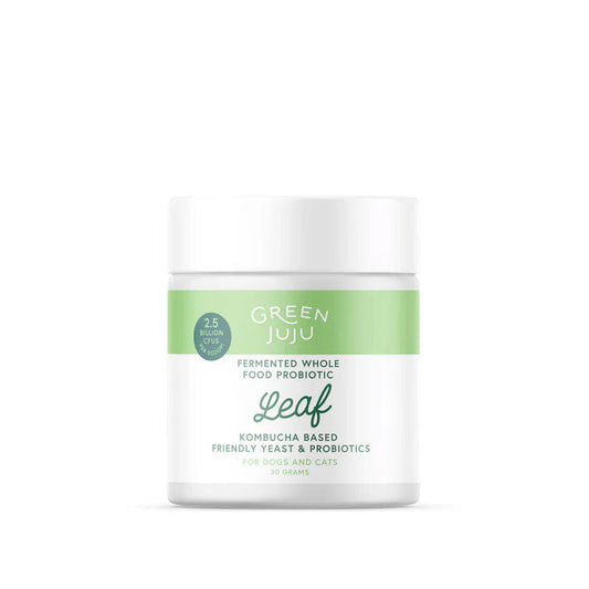 Green Juju Leaf - Fermented, Kombucha-Based Probiotic image 0