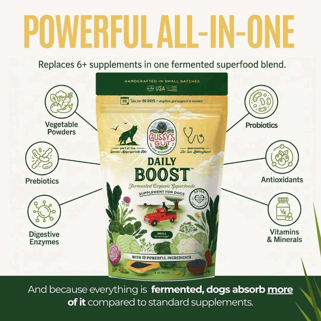 Gussy's Gut Daily Boost - 3oz image 0